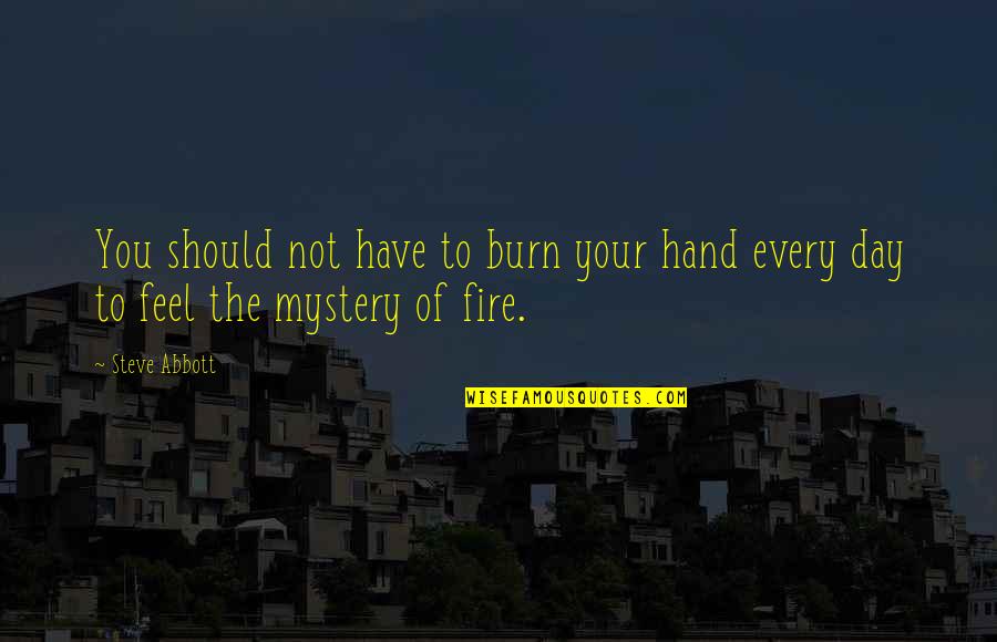 National Mastery Quotes By Steve Abbott: You should not have to burn your hand