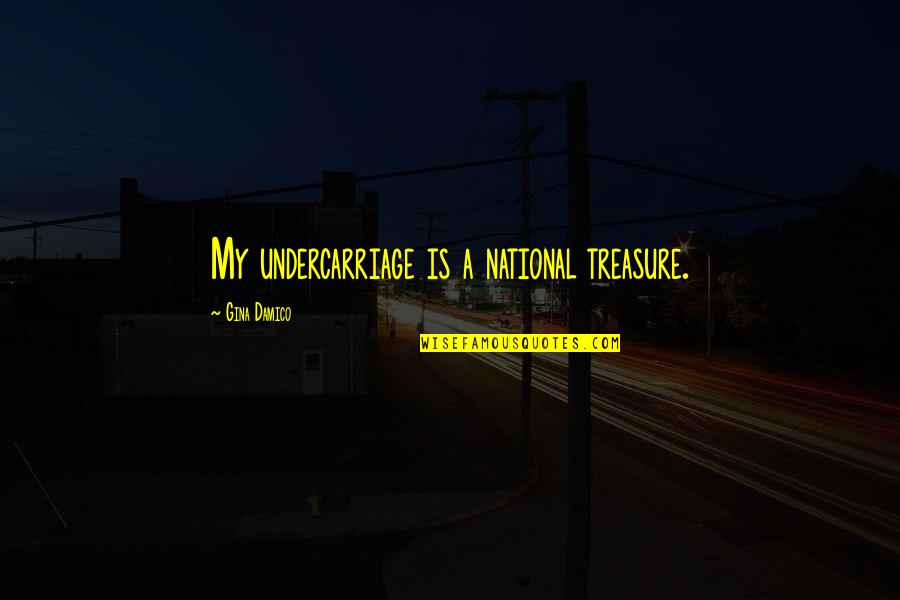 National Treasure Quotes By Gina Damico: My undercarriage is a national treasure.