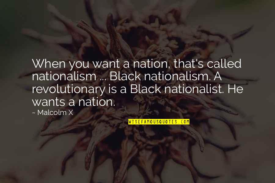 Nationalist Quotes By Malcolm X: When you want a nation, that's called nationalism
