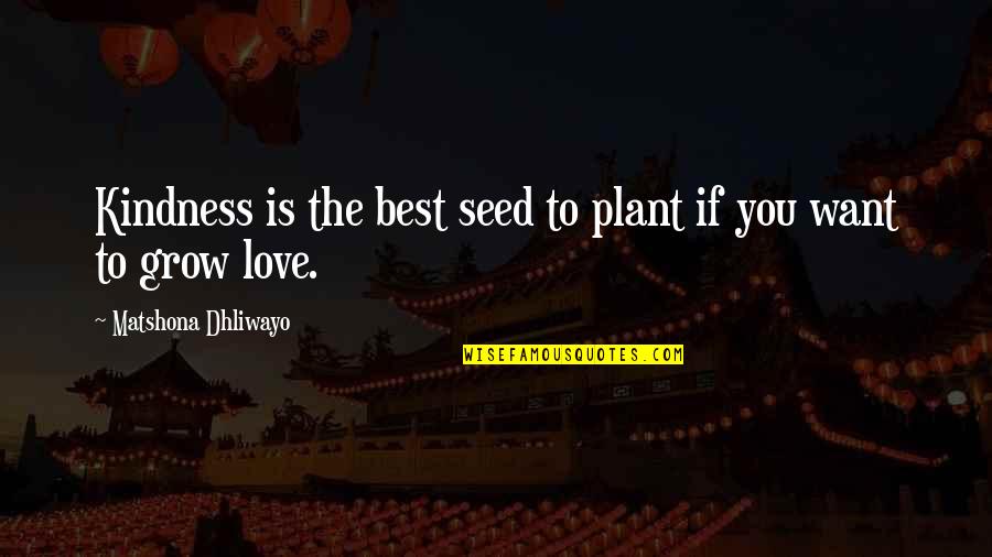 Nationalistically Quotes By Matshona Dhliwayo: Kindness is the best seed to plant if
