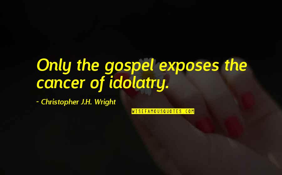 Nationbuilder Software Quotes By Christopher J.H. Wright: Only the gospel exposes the cancer of idolatry.