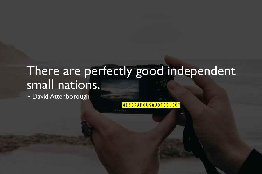 Nations Small Quotes By David Attenborough: There are perfectly good independent small nations. Nations Small Quotes By David Attenborough: There are perfectly good independent small nations.