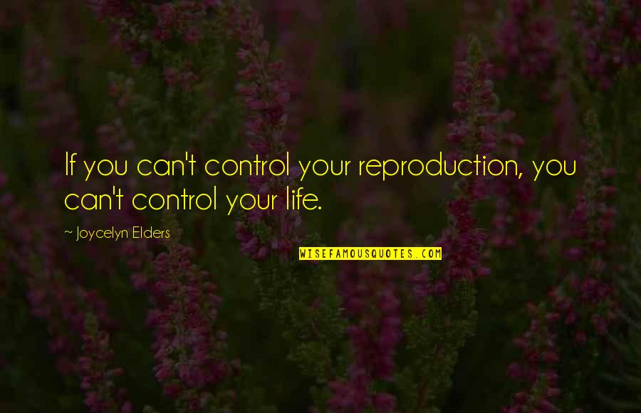Native American Dream Catcher Quotes By Joycelyn Elders: If you can't control your reproduction, you can't
