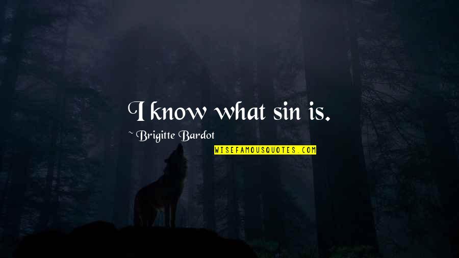 Native American Identity Quotes By Brigitte Bardot: I know what sin is.