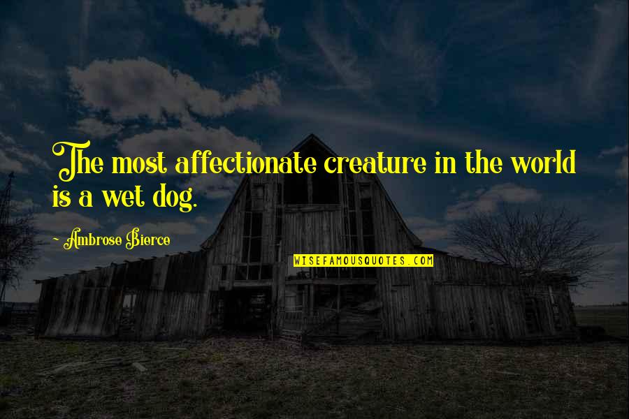 Native American Mascot Controversy Quotes By Ambrose Bierce: The most affectionate creature in the world is
