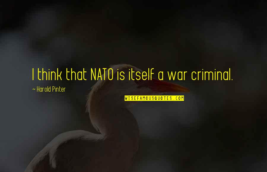 Nato Quotes By Harold Pinter: I think that NATO is itself a war
