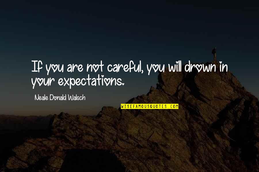Natraj Travels Quotes By Neale Donald Walsch: If you are not careful, you will drown