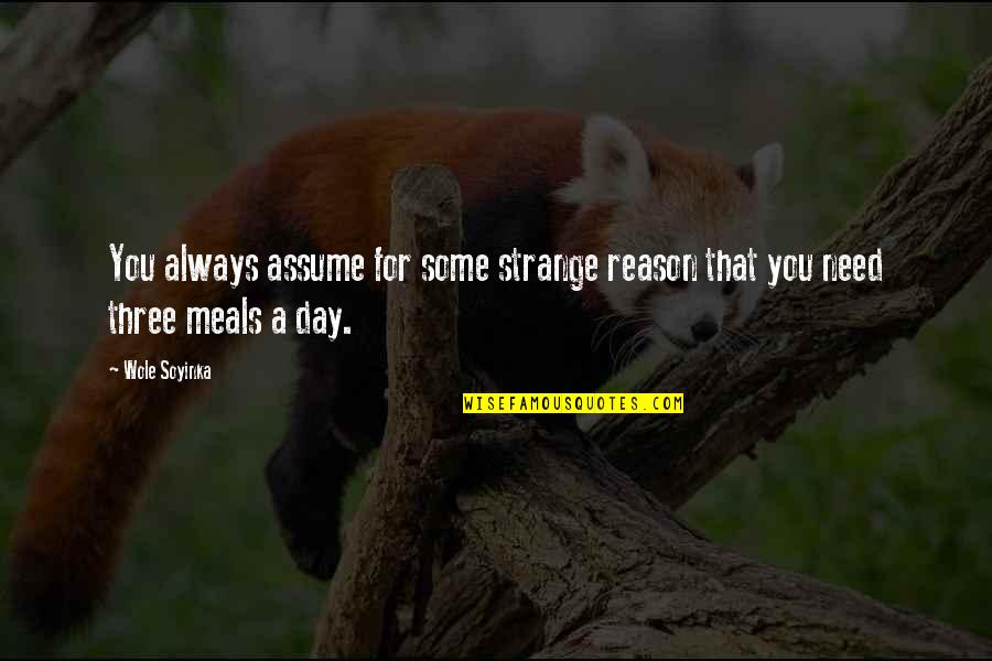Nattawat Witoon Quotes By Wole Soyinka: You always assume for some strange reason that