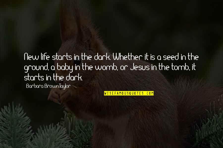 Nattsu Kitamura Quotes By Barbara Brown Taylor: New life starts in the dark. Whether it Nattsu Kitamura Quotes By Barbara Brown Taylor: New life starts in the dark. Whether it