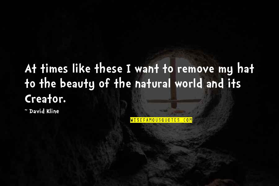 Natural Beauty In Nature Quotes By David Kline: At times like these I want to remove