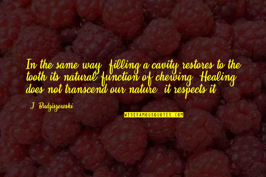 Natural Healing Quotes By J. Budziszewski: In the same way, filling a cavity restores