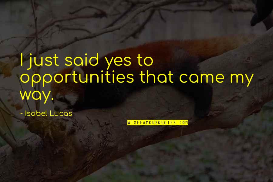 Natural Law Bible Quotes By Isabel Lucas: I just said yes to opportunities that came