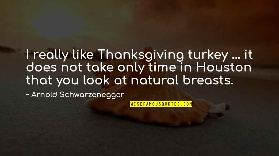 Natural Look Quotes By Arnold Schwarzenegger: I really like Thanksgiving turkey ... it does