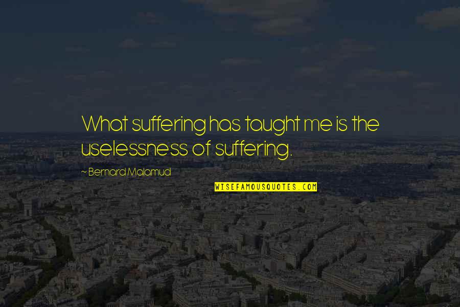 Natural Medicines Quotes By Bernard Malamud: What suffering has taught me is the uselessness