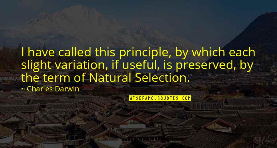 Natural Selection Quotes By Charles Darwin: I have called this principle, by which each