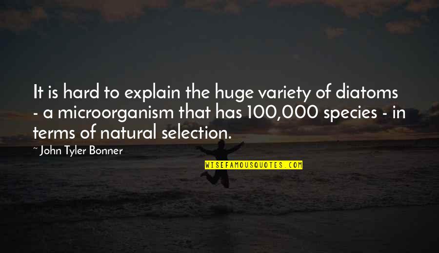 Natural Selection Quotes By John Tyler Bonner: It is hard to explain the huge variety