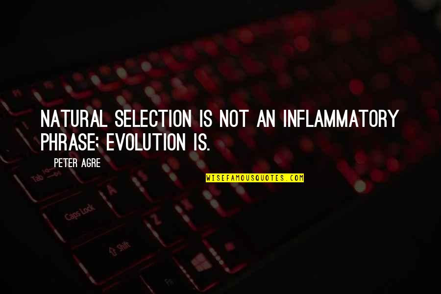 Natural Selection Quotes By Peter Agre: Natural selection is not an inflammatory phrase; evolution