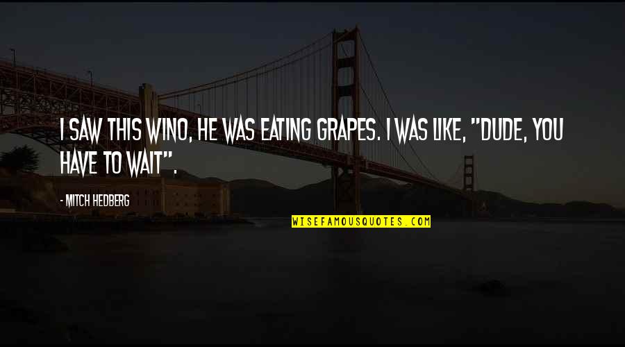 Naturally And Synthetic Cytokinin Quotes By Mitch Hedberg: I saw this wino, he was eating grapes.