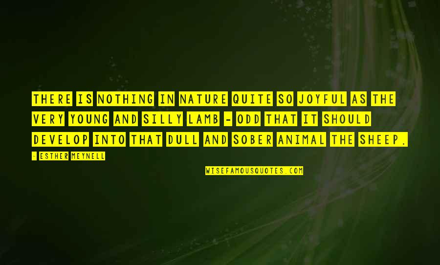 Nature And Animal Quotes By Esther Meynell: There is nothing in nature quite so joyful