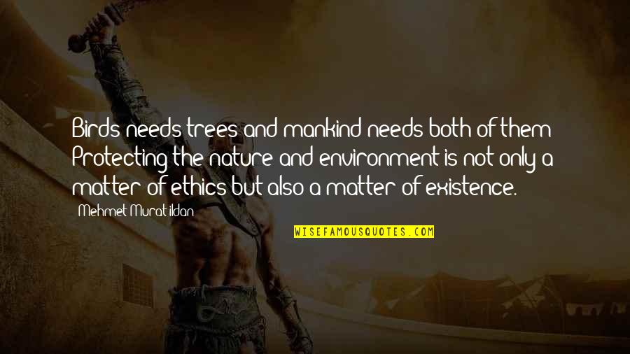 Nature And Birds Quotes By Mehmet Murat Ildan: Birds needs trees and mankind needs both of