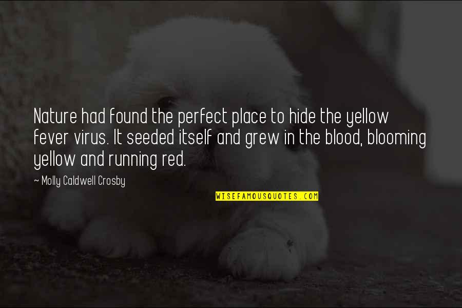 Nature And Death Quotes By Molly Caldwell Crosby: Nature had found the perfect place to hide Nature And Death Quotes By Molly Caldwell Crosby: Nature had found the perfect place to hide