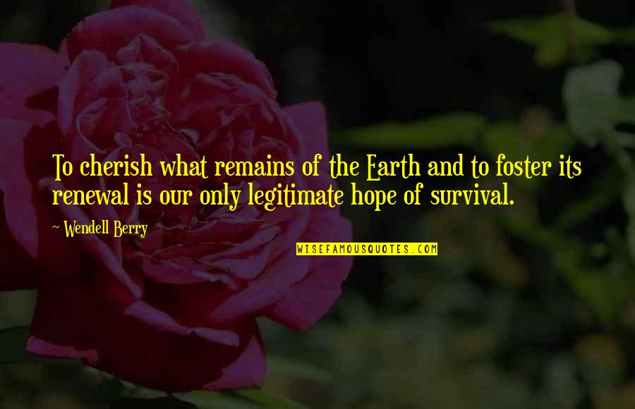 Nature And Earth Quotes By Wendell Berry: To cherish what remains of the Earth and