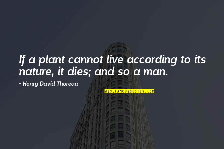 Nature And Man Quotes By Henry David Thoreau: If a plant cannot live according to its