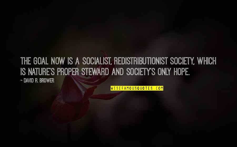 Nature And Society Quotes By David R. Brower: The goal now is a socialist, redistributionist society,
