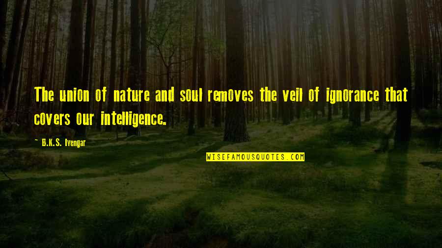 Nature And Soul Quotes By B.K.S. Iyengar: The union of nature and soul removes the