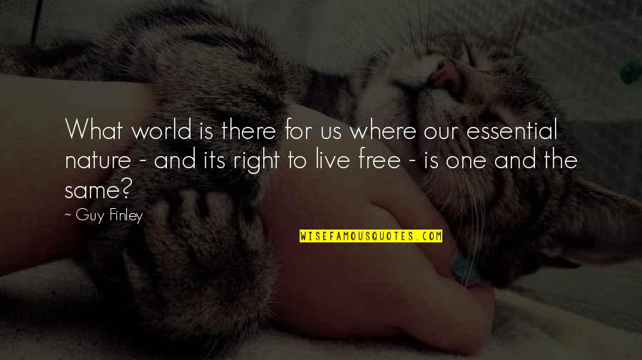 Nature And The World Quotes By Guy Finley: What world is there for us where our