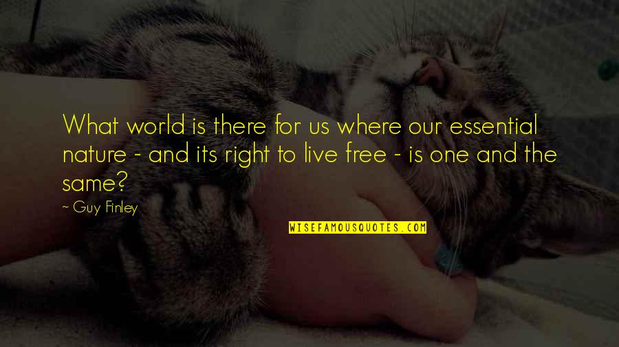 Nature And Us Quotes By Guy Finley: What world is there for us where our