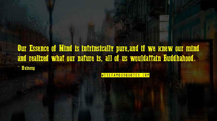 Nature And We Quotes By Huineng: Our Essence of Mind is intrinsically pure,and if