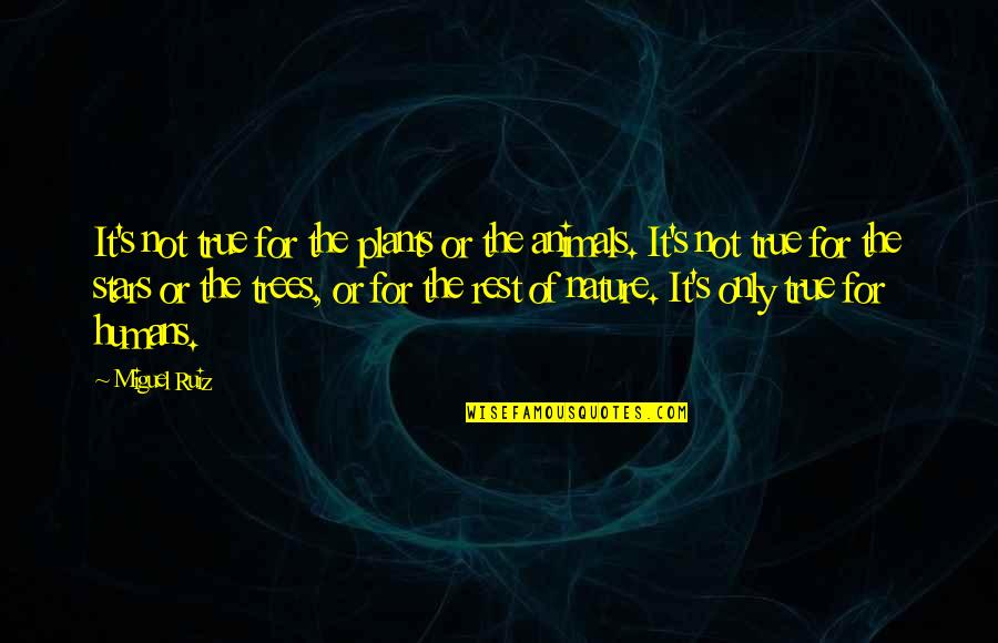 Nature Animals Quotes By Miguel Ruiz: It's not true for the plants or the Nature Animals Quotes By Miguel Ruiz: It's not true for the plants or the