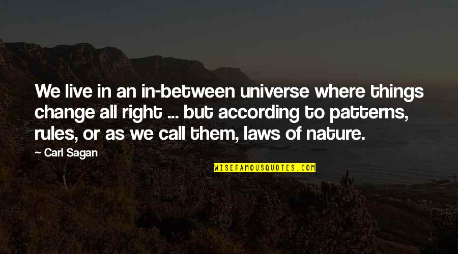 Nature Call Quotes By Carl Sagan: We live in an in-between universe where things