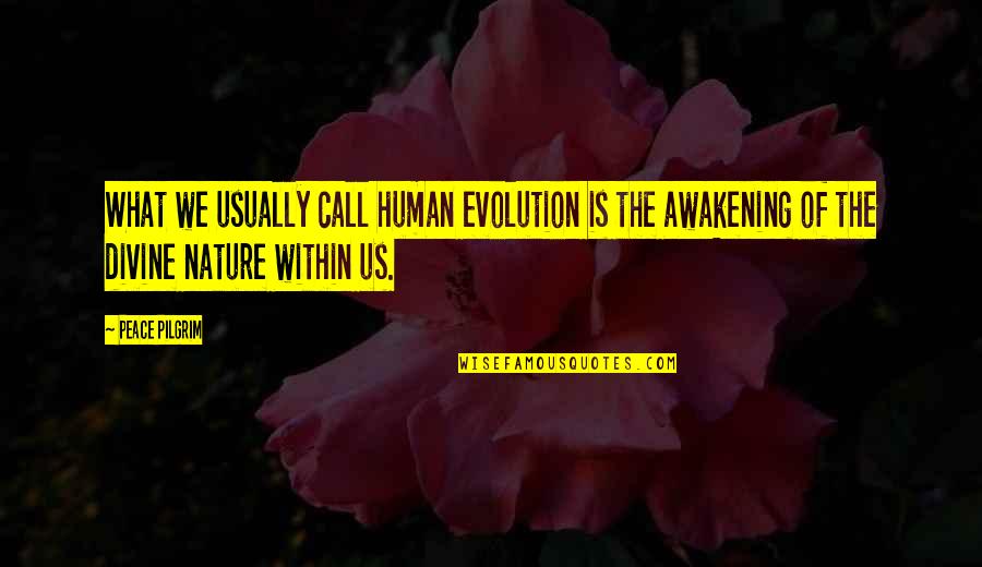 Nature Call Quotes By Peace Pilgrim: What we usually call human evolution is the