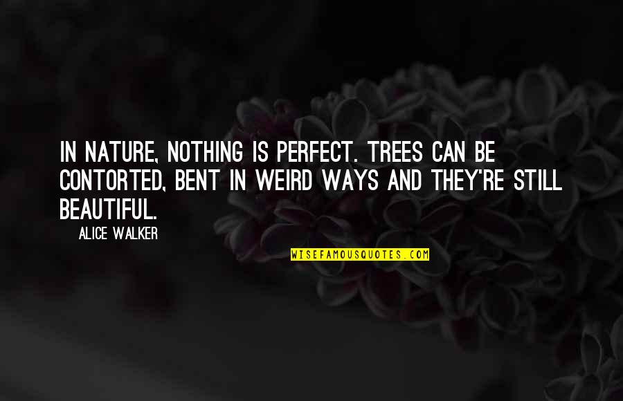 Nature Can Quotes By Alice Walker: In nature, nothing is perfect. Trees can be Nature Can Quotes By Alice Walker: In nature, nothing is perfect. Trees can be