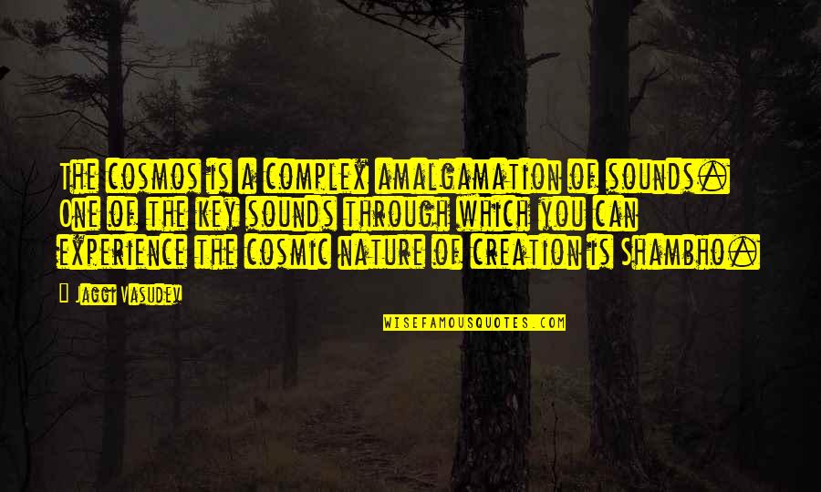 Nature Creation Quotes By Jaggi Vasudev: The cosmos is a complex amalgamation of sounds.