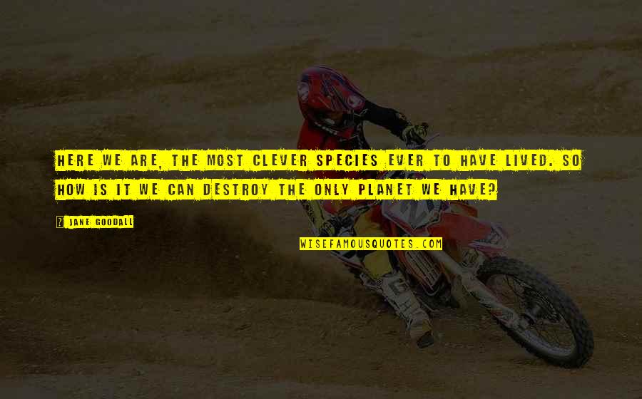 Nature Destroy Quotes By Jane Goodall: Here we are, the most clever species ever Nature Destroy Quotes By Jane Goodall: Here we are, the most clever species ever