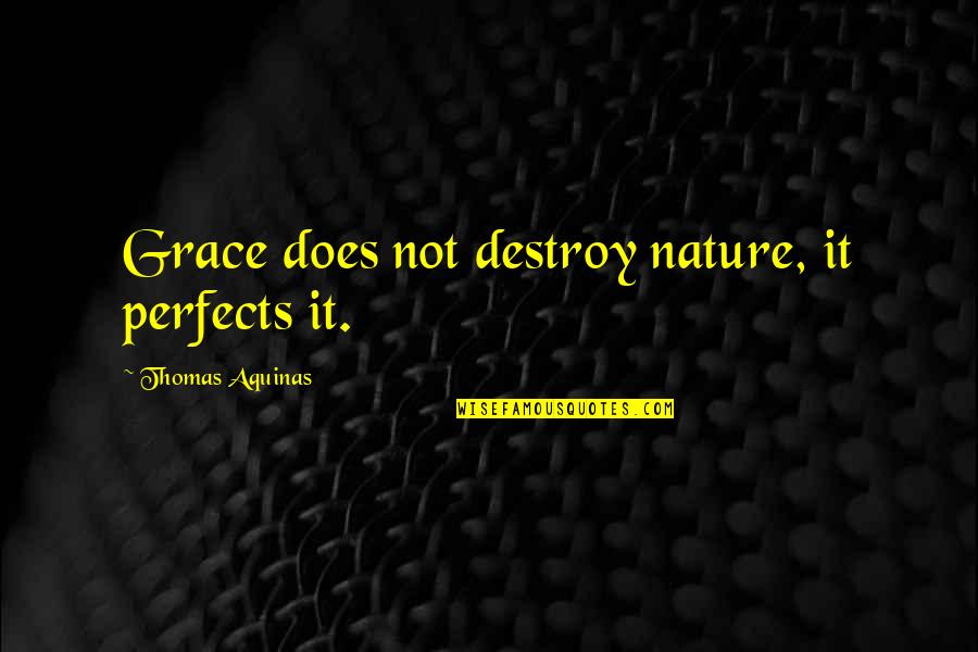 Nature Destroy Quotes By Thomas Aquinas: Grace does not destroy nature, it perfects it. Nature Destroy Quotes By Thomas Aquinas: Grace does not destroy nature, it perfects it.