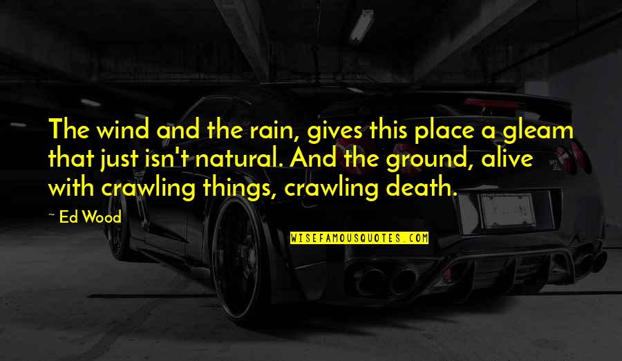 Nature Gives Quotes By Ed Wood: The wind and the rain, gives this place Nature Gives Quotes By Ed Wood: The wind and the rain, gives this place