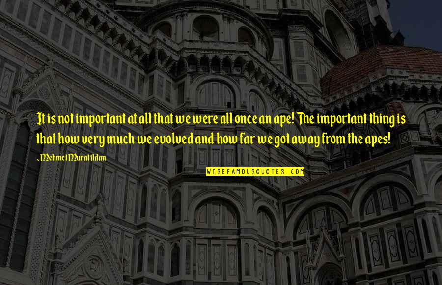 Nature Images With Bible Quotes By Mehmet Murat Ildan: It is not important at all that we Nature Images With Bible Quotes By Mehmet Murat Ildan: It is not important at all that we