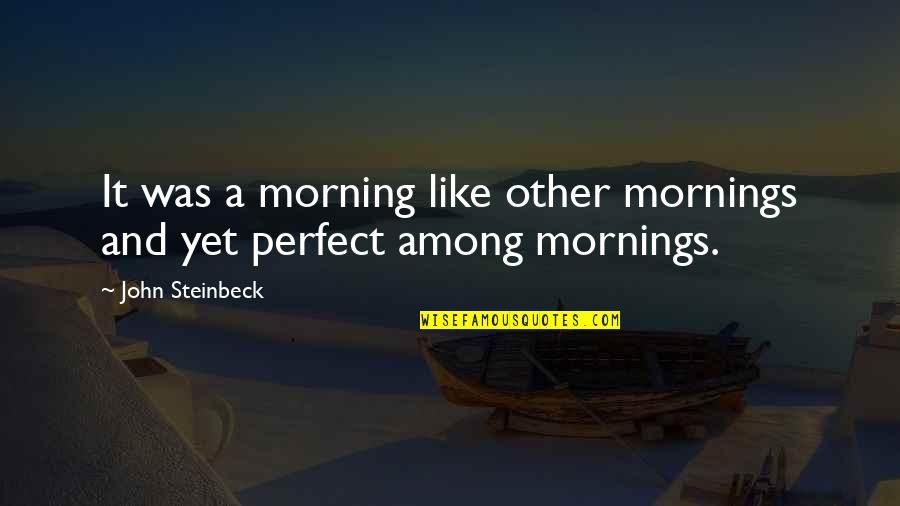 Nature In The Morning Quotes By John Steinbeck: It was a morning like other mornings and