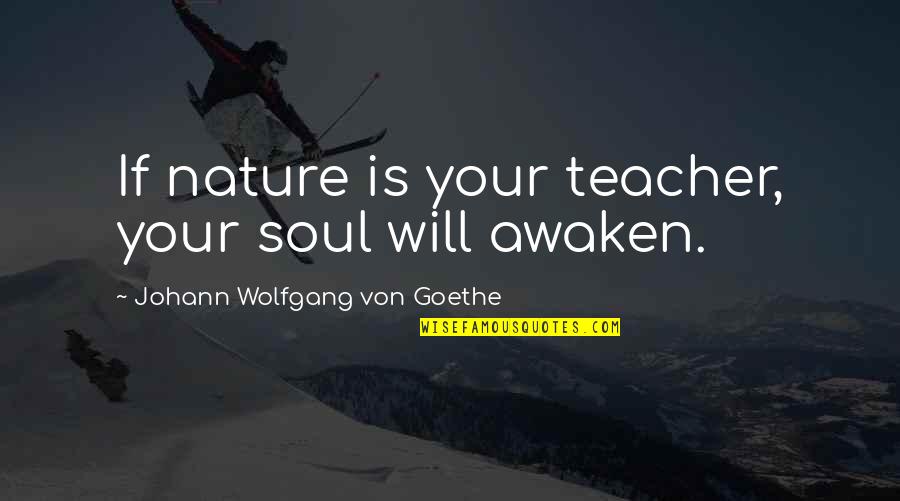 Nature Is A Teacher Quotes By Johann Wolfgang Von Goethe: If nature is your teacher, your soul will