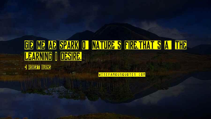 Nature Is Best Teacher Quotes By Robert Burns: Gie me ae spark o' Nature's fire,That's a'