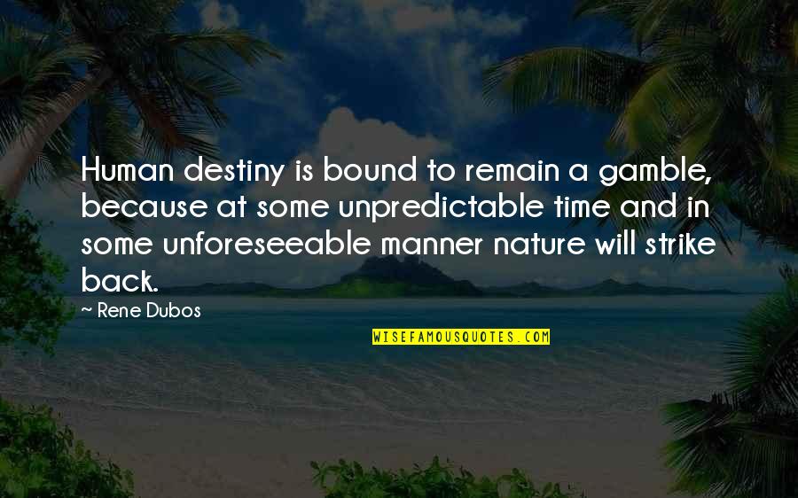 Nature Is Unpredictable Quotes By Rene Dubos: Human destiny is bound to remain a gamble,
