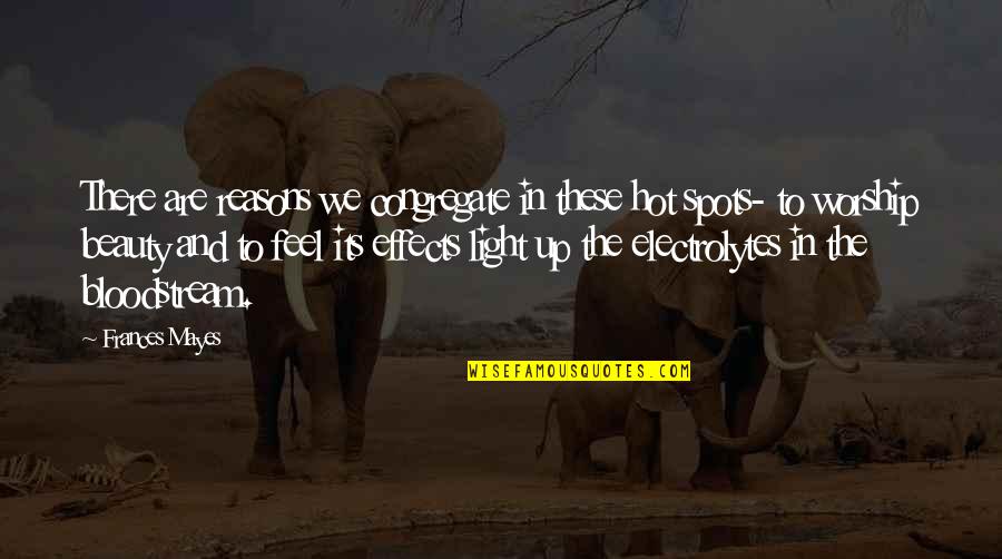 Nature Light Quotes By Frances Mayes: There are reasons we congregate in these hot Nature Light Quotes By Frances Mayes: There are reasons we congregate in these hot