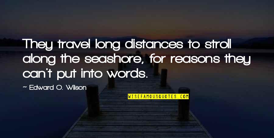 Nature Long Quotes By Edward O. Wilson: They travel long distances to stroll along the Nature Long Quotes By Edward O. Wilson: They travel long distances to stroll along the