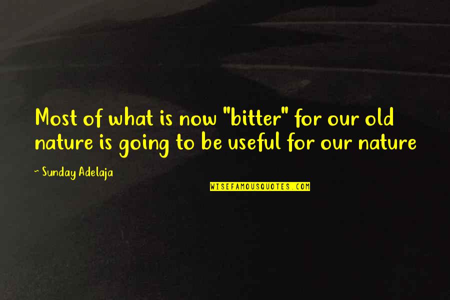 Nature Long Quotes By Sunday Adelaja: Most of what is now "bitter" for our Nature Long Quotes By Sunday Adelaja: Most of what is now "bitter" for our