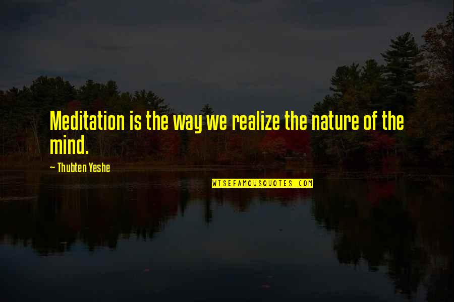 Nature Meditation Quotes By Thubten Yeshe: Meditation is the way we realize the nature