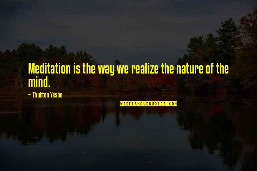 Nature Meditation Quotes By Thubten Yeshe: Meditation is the way we realize the nature Nature Meditation Quotes By Thubten Yeshe: Meditation is the way we realize the nature